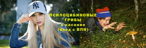ГАЛЛЮЦИНОГЕННЫЕ ГРИБЫ Балабаново