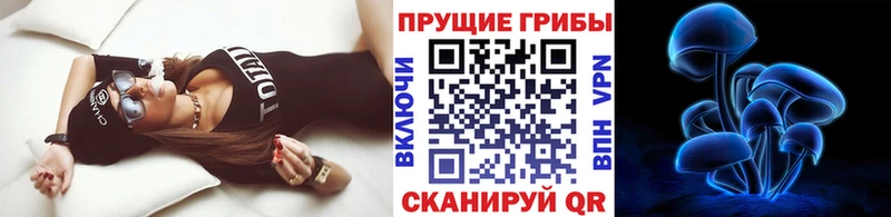 продажа наркотиков  Суворов  Галлюциногенные грибы мицелий 